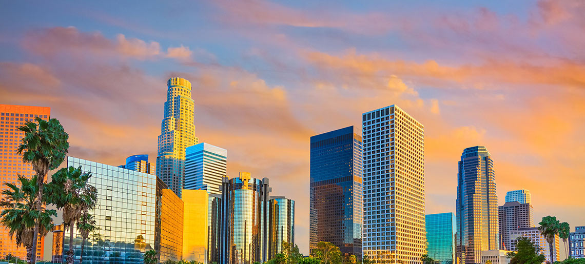 LA Skyline